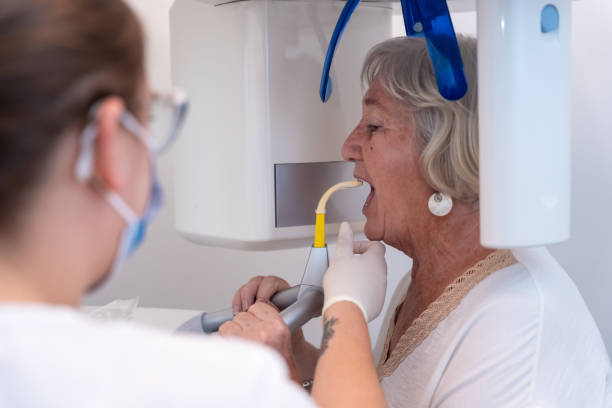 Best Emergency X-Rays and Diagnostics in South Elgin, IL